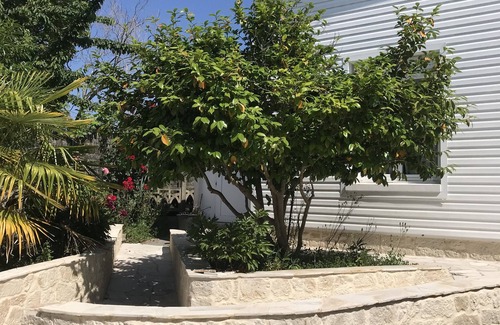 Saint-Marc-sur-Mer House | À 10 min à Pied de la Plage, Charmante Maison Avec Jardin Arboré