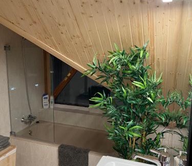 Canfranc-Estacion Apartment | Ático Dúplex reformado con vistas a la montaña
