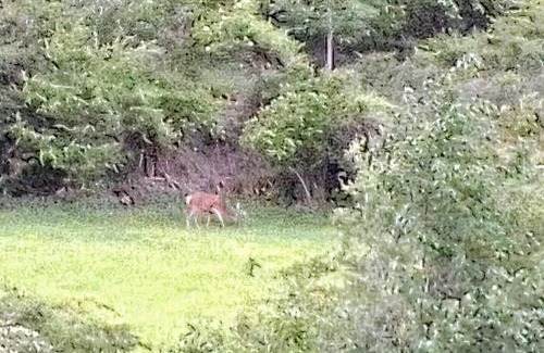 Canfranc Apartment | Ático LA FLOR DEL SOL