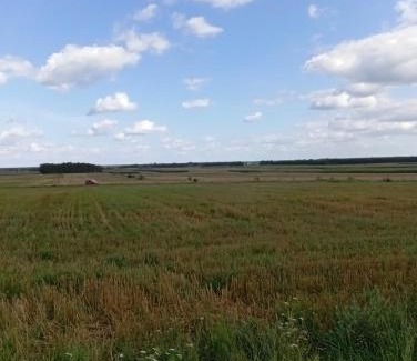 Hajnowka Other | ŁĄKA NA WYŁĄCZNOŚĆ NA PODLASKIEJ WSI HAJNÓWKA BIAŁOWIEŻA namiot, biwak, kemping