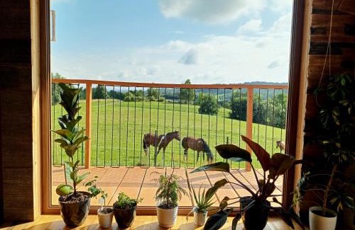 Solina House | Żarniczki 693-387-544