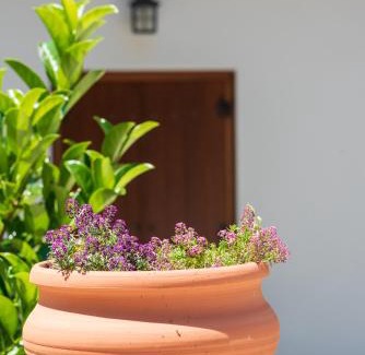 Tsagarada House | Άλυσσος suites