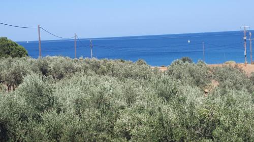 Monemvasia Villa | Ελαίας λειμών