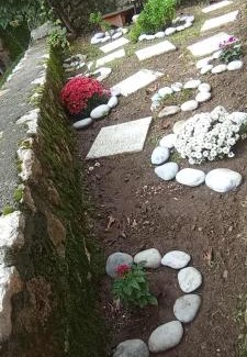 Trikolonoi Apartment | Ορεινος Παραδεισος