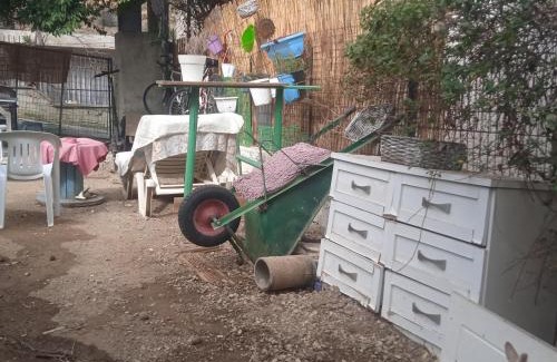 Fyli Apartment | Το Μικρό Σπίτι στη Φάρμα!