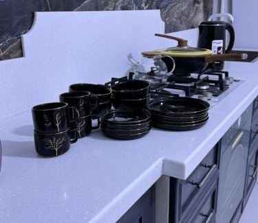 Atyrau Apartment | ЖК New City двухкомнатные уютная апартаменты 14