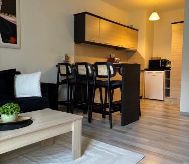 Shiligarnika Apartment | Регнум-Апартамент Рафаела-Мартина