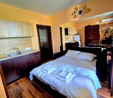 Sandanski Apartment | Студио Кокетно