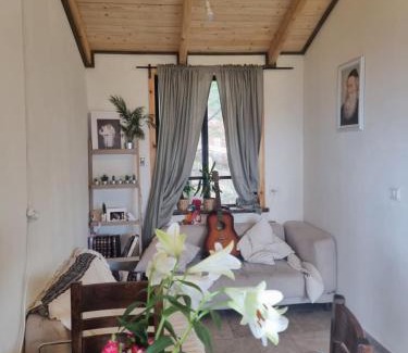 Jaffa House | בין הצמרות - צימר בבת עין