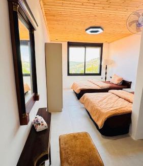 Ajloun Apartment | عجلون - اشتفينا 2