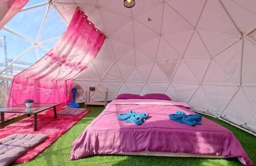 Chiang Saen Other | ดอยสะโง้วิวโฮมสเตย์โดมบอล