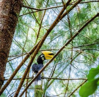 Nok Na Other | บ้านบุญบีช แคมป์ปิ้ง Tent SL