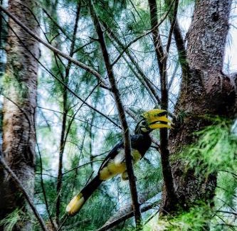 Nok Na Other | บ้านบุญบีช แคมป์ปิ้ง Tent SL