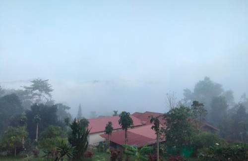 Sado Phong House | บ้านสวนศรเพชร