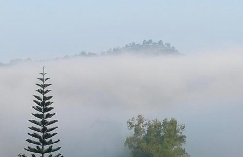 Sado Phong House | บ้านสวนศรเพชร