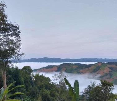 Mae Suai Resort | บ้านสวนเอลเลน Ellen Farmhouse