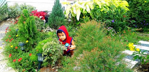 Salaya House | บ้านอิงธารา โฮมสเตย์ ศาลายา Baan ing tara homestay salaya