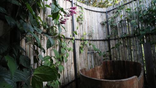 Mae Chan Other | ภูจัน รีสอร์ท&ออนเซ็น แคมปิ้ง