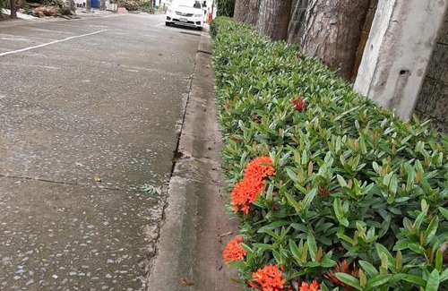 Nakhon Nayok Hotel | สตาร์ รีสอร์ท (สี่แยก จปร)