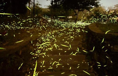 Fanlu Bed & Breakfast | 仲明居Zhong Ming Ju Taoyi Fang