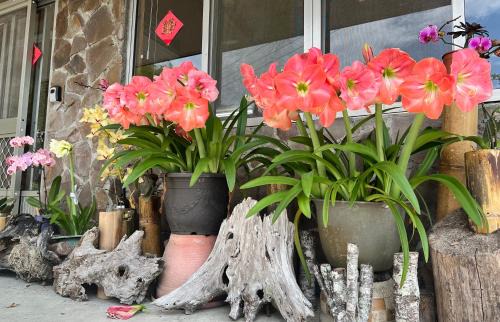 Fanlu Bed & Breakfast | 仲明居Zhong Ming Ju Taoyi Fang