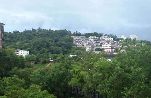 Xizhi District Apartment | 台北近郊鬧中取靜的好地方（內湖雅房)Nature beside Taipei City