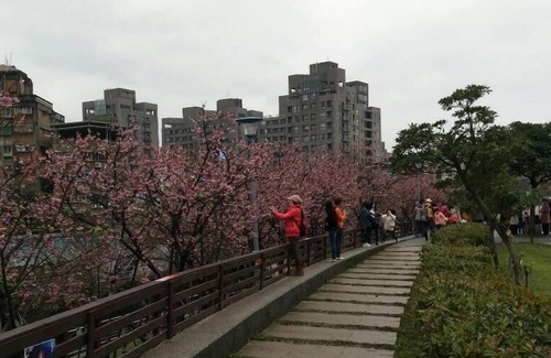 Xizhi District Apartment | 台北近郊鬧中取靜的好地方（內湖雅房)Nature beside Taipei City