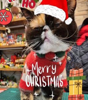 Big Beach Bed & Breakfast | 墾丁大灣小舖Enjoy Kenting262