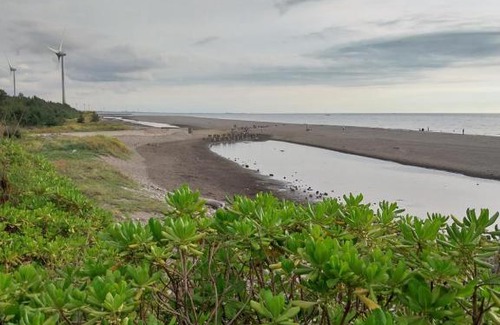 Da'an District House | 大安濱海樂園