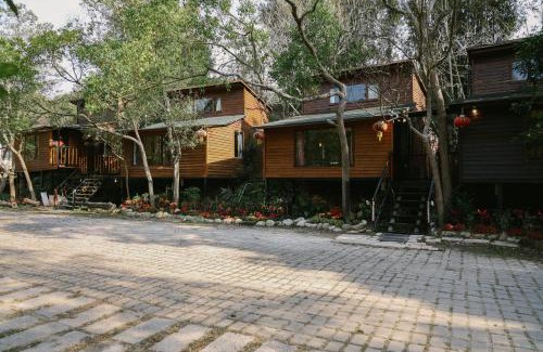 Sanyi Ski Chalet | 山板樵愛面子民宿