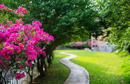 Zhuolan Bed & Breakfast | 岩川森林民宿 Springcreek B&B