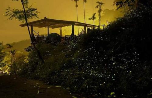 Gukeng House | 幸福檜木屋民宿