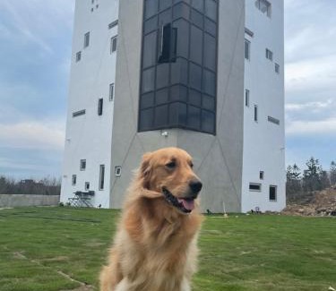 Huxi House | 有間寓背包旅宿