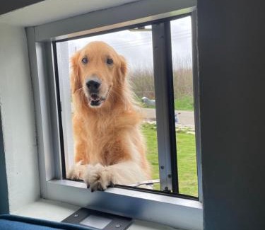 Huxi House | 有間寓背包旅宿