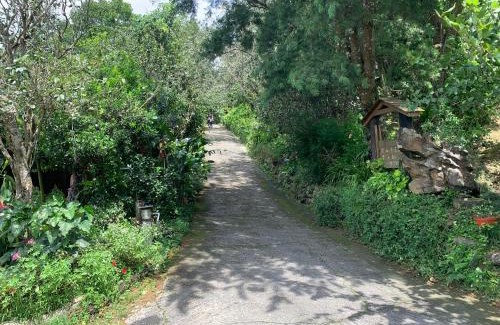 Nanzhuang House | 杉林松境休閒農場