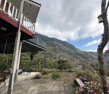 Alishan Bed & Breakfast | 樂野仙蹤