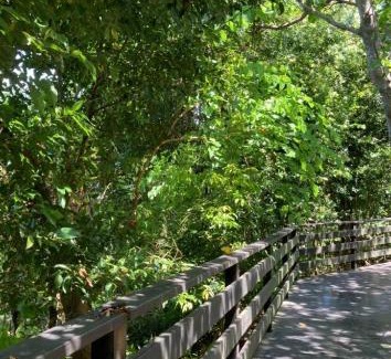 Tamsui House | 水鄉渡假村