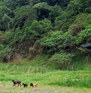 Suao House | 永樂仙境326莊園-冷熱雙泉