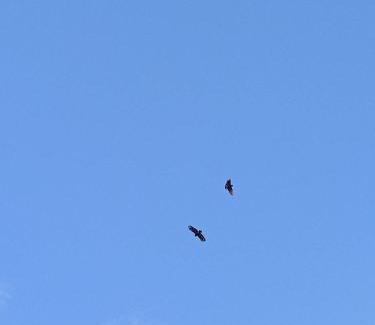 Suao House | 永樂仙境326莊園-冷熱雙泉