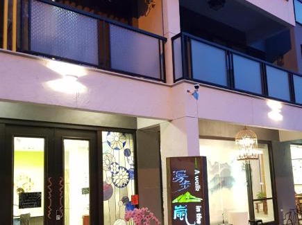 Xitou House | 漫步山嵐 A walk in the mist