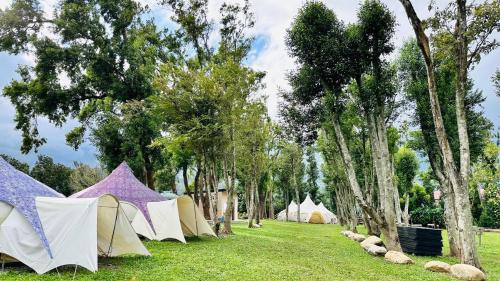 Luye Other | 軒沐居Campsite