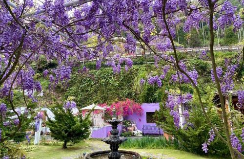 Rueili Village House | 阿喜紫藤