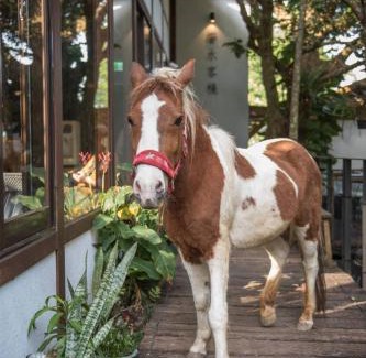 Gongguan House | 響水客棧 苗栗8-12人包棟 烤肉 特色老屋