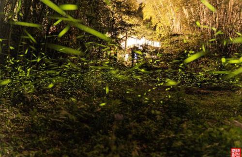 Gongguan House | 響水客棧 苗栗8-12人包棟 烤肉 特色老屋