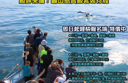 Toucheng Hotel | 頭城溫旅無邊際泳池の宅