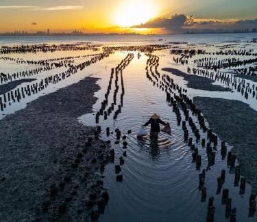 Jinning Bed & Breakfast | 馨悅民宿