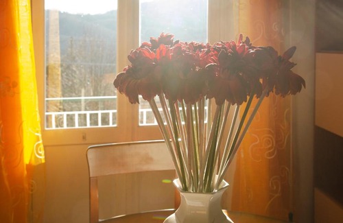 Varese Ligure Apartment | 017 - Casa vacanze Picetti - in mezzo alla natura