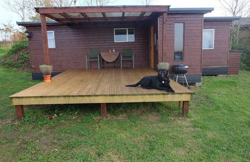 Broadwindsor Cabin | 1 Bed Cabin - Sleeps 2 - 15 Mins From Lyme Regis