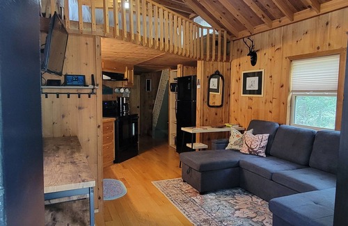 Jasper Cabin | 1 bedrm tiny house with sleeping loft, big yard, fire pit and screened in porch!