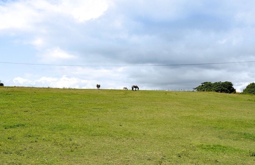 Totland Bay Cottage | 1 bedroom accommodation in Totland, near Freshwater